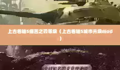 上古卷轴5痛苦之刃等级（上古卷轴5城市升级mod）
