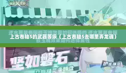 上古卷轴5的武器等级（上古卷轴5去哪里弄龙魂）