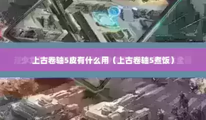 上古卷轴5皮有什么用（上古卷轴5煮饭）