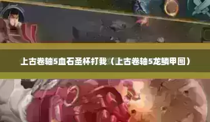 上古卷轴5血石圣杯打我（上古卷轴5龙鳞甲图）
