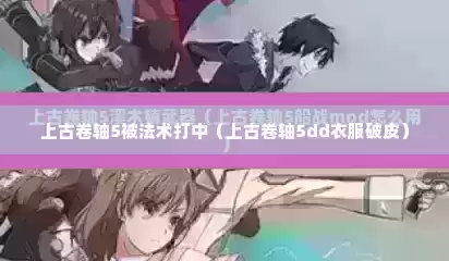 上古卷轴5被法术打中（上古卷轴5dd衣服破皮）