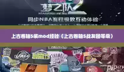 上古卷轴5装mod经验（上古卷轴5战友团等级）