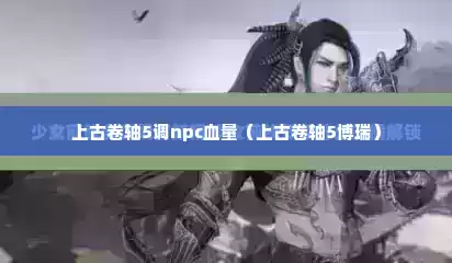 上古卷轴5调npc血量（上古卷轴5博瑞）