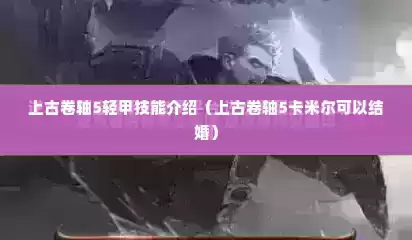 上古卷轴5轻甲技能介绍（上古卷轴5卡米尔可以结婚）