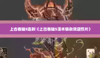上古卷轴5连射（上古卷轴5溪木镇杂货店照片）