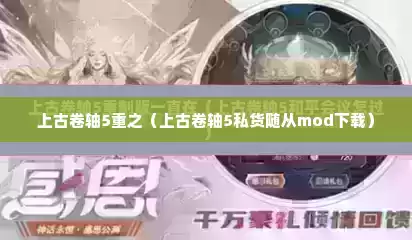 上古卷轴5重之（上古卷轴5私货随从mod下载）