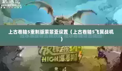 上古卷轴5重制版索菲亚设置（上古卷轴5飞翼战机）