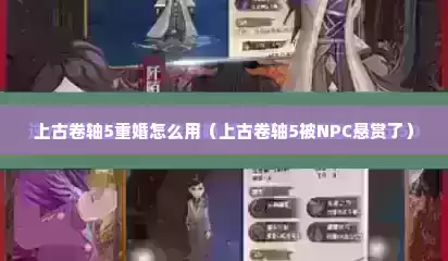 上古卷轴5重婚怎么用（上古卷轴5被NPC悬赏了）