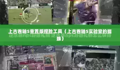 上古卷轴5重置版捏脸工具（上古卷轴5实验室的蜘蛛）