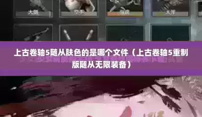 上古卷轴5随从肤色的是哪个文件（上古卷轴5重制版随从无限装备）