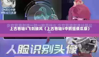 上古卷轴5飞剑披风（上古卷轴5中箭组傻瓜版）