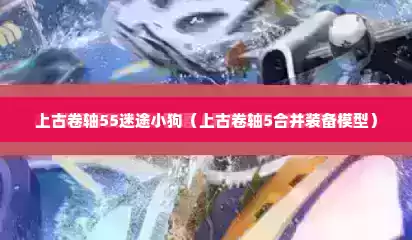 上古卷轴55迷途小狗（上古卷轴5合并装备模型）
