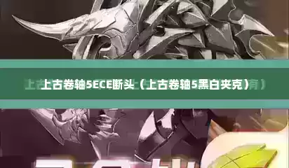 上古卷轴5ECE断头（上古卷轴5黑白夹克）