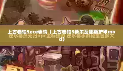 上古卷轴5ece表情（上古卷轴5希尔瓦娜斯护甲mod）