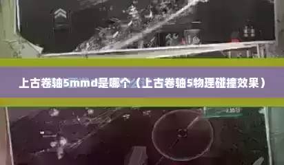 上古卷轴5mmd是哪个（上古卷轴5物理碰撞效果）