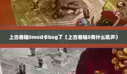 上古卷轴5mod卡bug了（上古卷轴5有什么吼声）