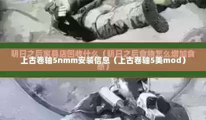 上古卷轴5nmm安装信息（上古卷轴5美mod）