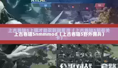 上古卷轴5nmmmod（上古卷轴5野外佣兵）