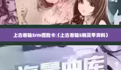 上古卷轴5rm捏脸卡（上古卷轴5精灵甲资料）