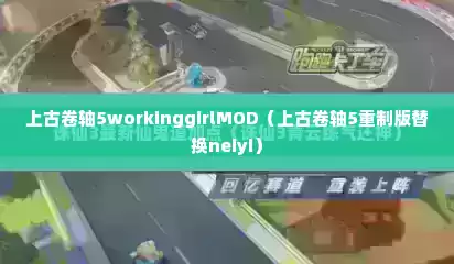 上古卷轴5workinggirlMOD（上古卷轴5重制版替换neiyi）