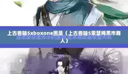 上古卷轴5xboxone画质（上古卷轴5索瑟姆黑市商人）